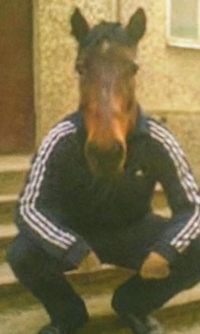 VlGNoU